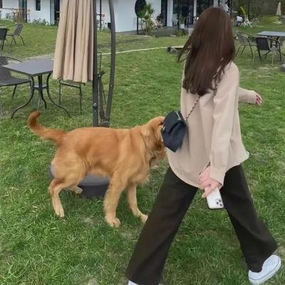 笼中女囚